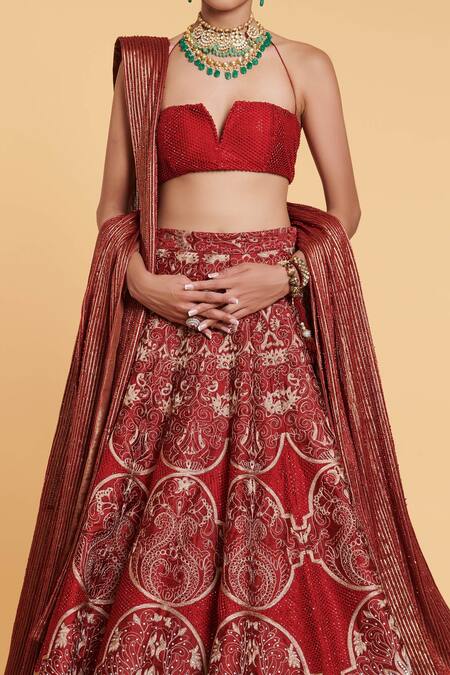 Siddartha Tytler_Red Blouse Crystal Mesh, Dupattas Striped Mesh, Motif Embroidered Bridal Set_Online_at_Aza_Fashions