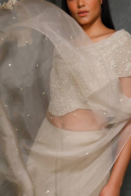 Seema Thukral_Beige Organza, Pure Georgette, Satin Lining Boat Embroidered Top Sharara Set _at_Aza_Fashions