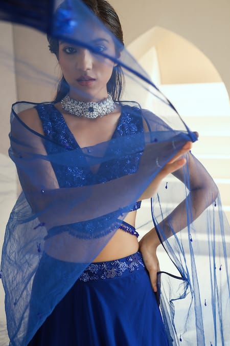 Seema Thukral_Blue Choli Georgette, Dupatta Net, Lining Satin, Embellished Lehenga Set_at_Aza_Fashions