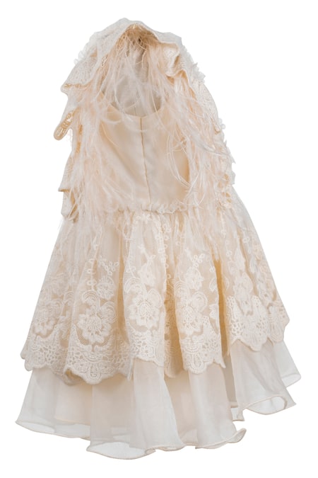 Buy_Jasmine And Alaia_Peach Organza Lace Dress_Online_at_Aza_Fashions