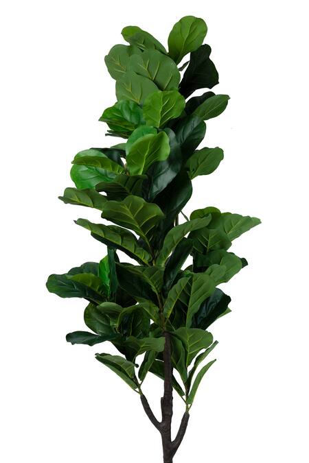 Buy_H2H_Green Polyester And Plastic Fiddle Leaf Artificial Plant _Online_at_Aza_Fashions
