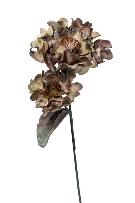 H2h_Brown Foam Flowers, Leaves And Plastic Coated Oyester Artificial - Set Of 2_Online_at_Aza_Fashions