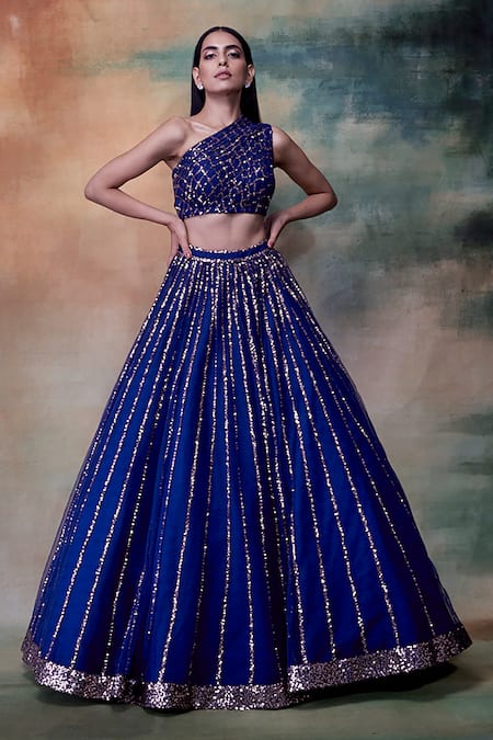 Vvani by Vani Vats Blue Net Asymmetric Embroidered Lehenga Set 