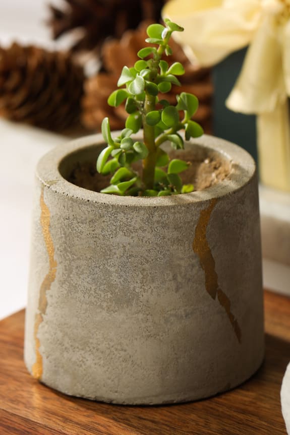 Kaksh Studio Concrete Mini Planter