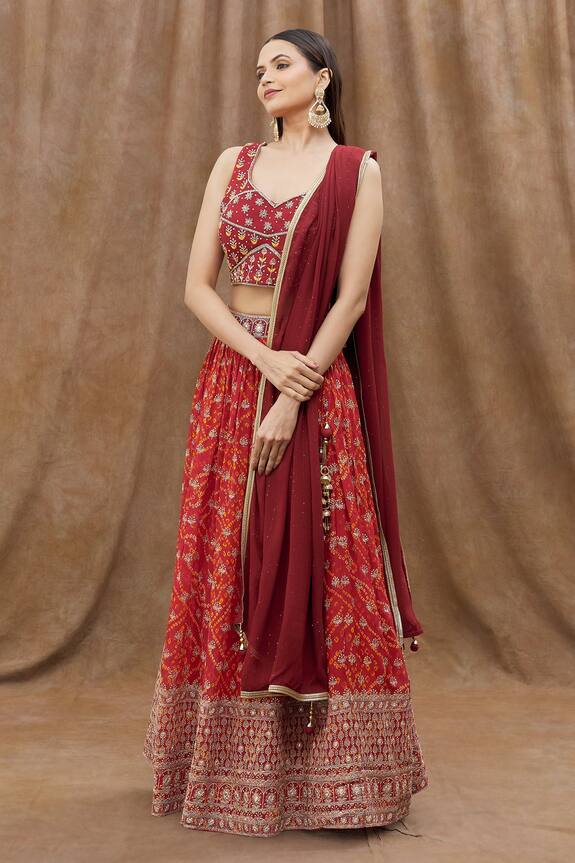 Aryavir Malhotra Thread Embroidered Choli Lehenga Set