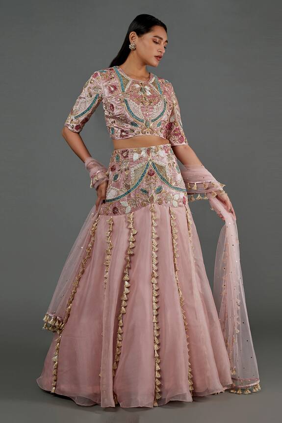Payal Singhal Velvet & Organza Embroidered Skirt Set