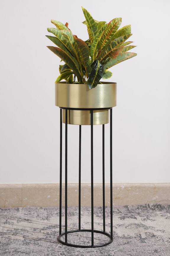 Amoli Concepts Circular Shaped Iron Planter