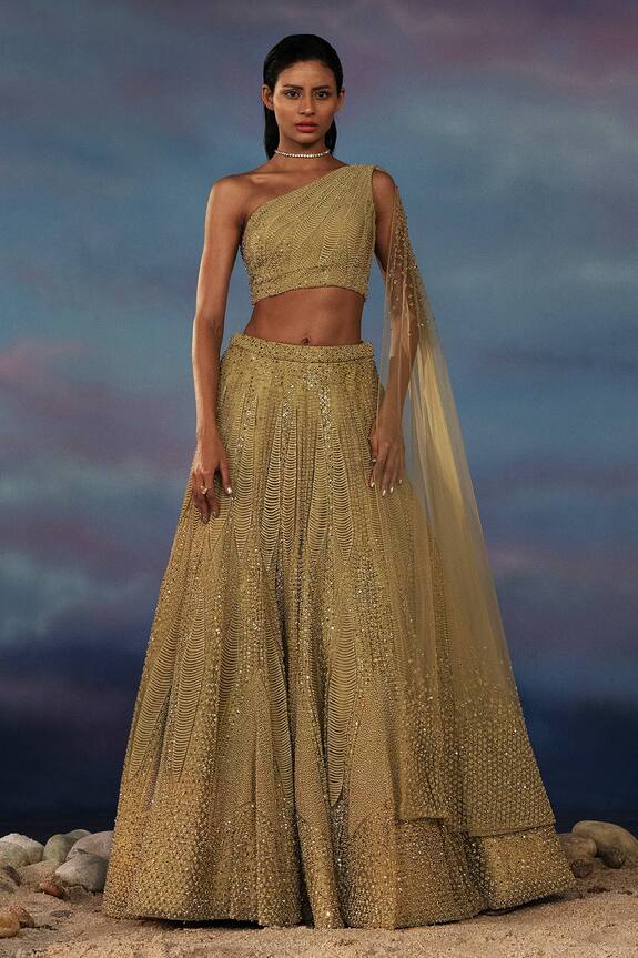 Rohit Gandhi + Rahul Khanna Crystal & Sequin Embroidered Lehenga With Blouse