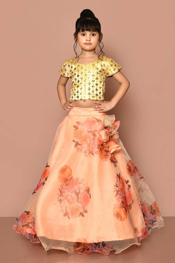 Banana Bee Organza Printed Lehenga & Blouse Set
