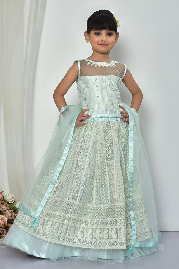 Banana Bee Lucknowi Embroidered Lehenga Set