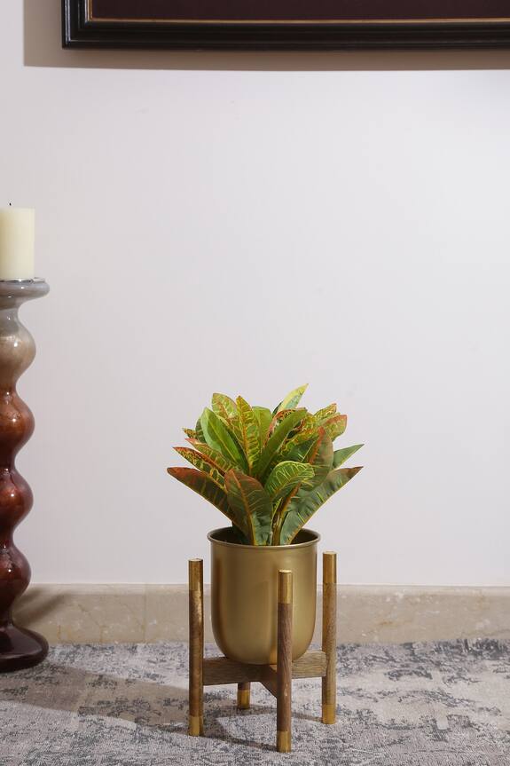 Amoli Concepts Iron & Mango Wood Planter