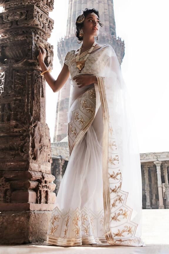 Tisha Saksena Embroidered Border Handloom Organza Saree With Blouse
