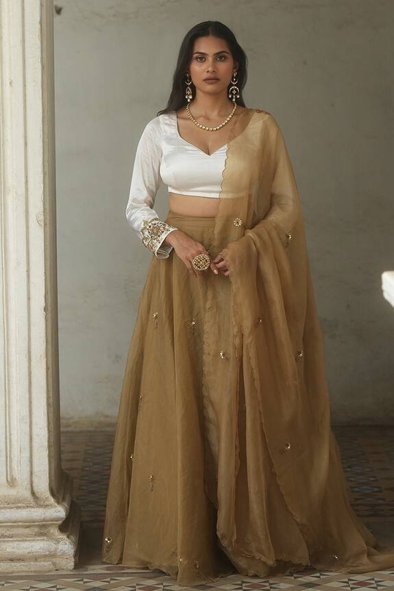 Peeli Dori Hand Embroidered Lehenga Set