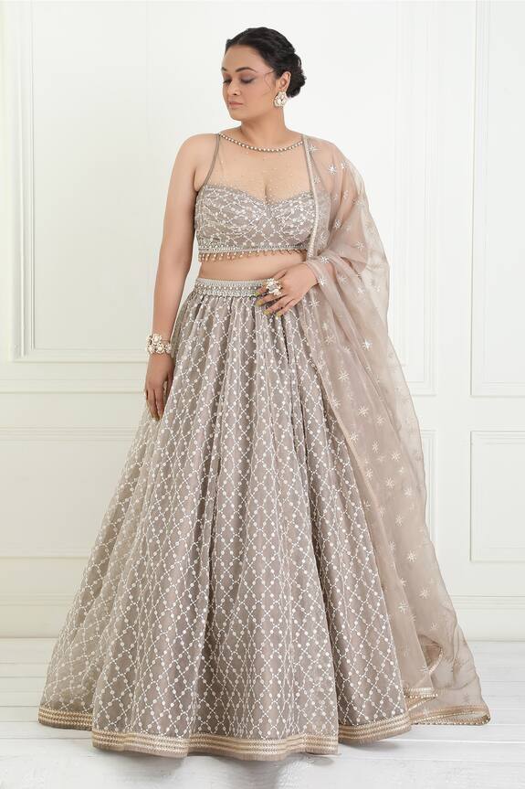 Cedar & Pine Zari Embroidered Lehenga Set