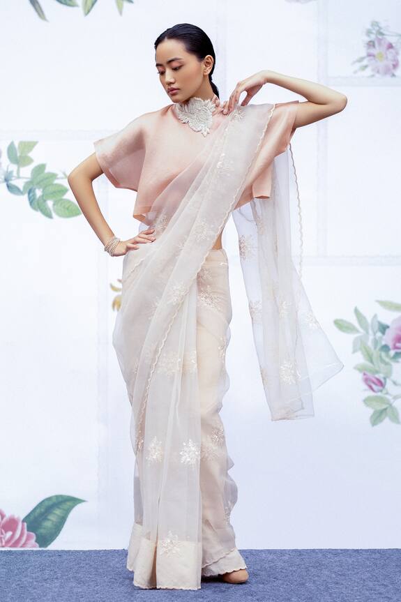 Archana Rao Lily Silk Organza Embroidered Saree