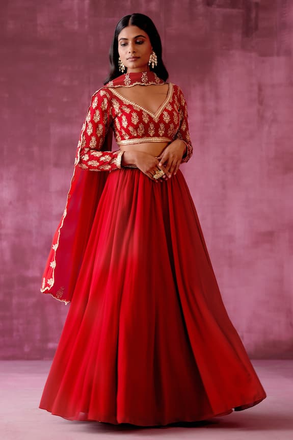 Tabeer Lehenga Set With Embroidered Blouse