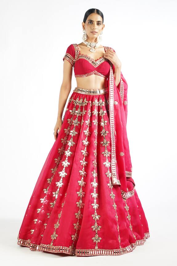 Vvani by Vani Vats Chandelier Drop Lehenga Set