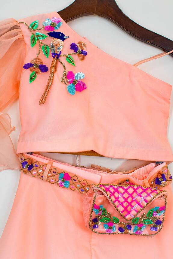 Nadaan Parindey Peach One Shoulder Crop Top And Palazzo Set For Girls 3
