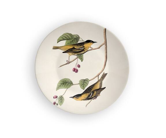 The Quirk India Indian Birds Of Brotherhood Decorative Wall Plate 3