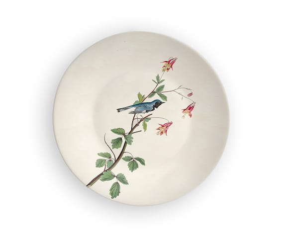 The Quirk India Indian Bird Of Paradise Decorative Wall Plate 3
