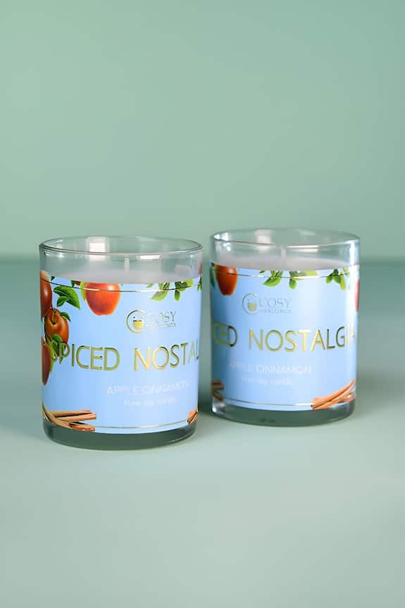 Cosy Dwellings Spiced Nostalgia Candle Jars (Set of 2) 2