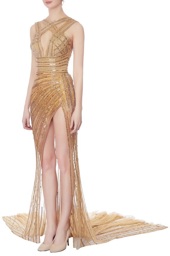 Swapnil Shinde Gold Embellished Trail Gown 4