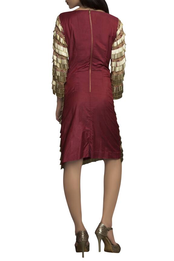 Priyam Narayan Wine Pure Handloom Embellished Short Dress 2