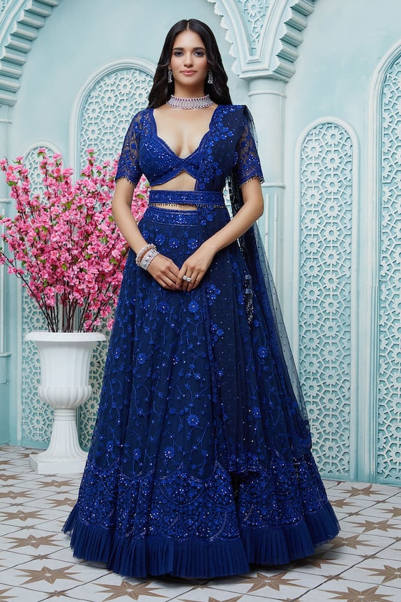 Ariyana Couture Blue Butterfly Net Floral Embroidered Lehenga Set 3