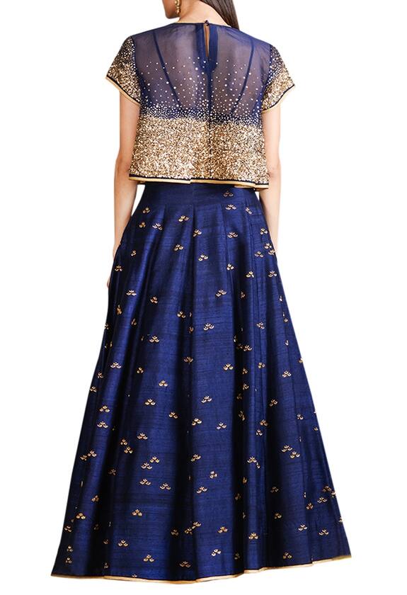 Sahil Kochhar Blue Raw Silk Embellished Lehenga Set 2