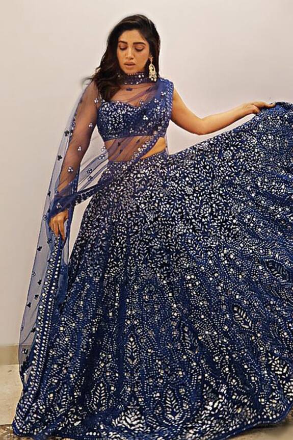 Tamanna Punjabi Kapoor Blue Net Embroidered Lehenga Set 0