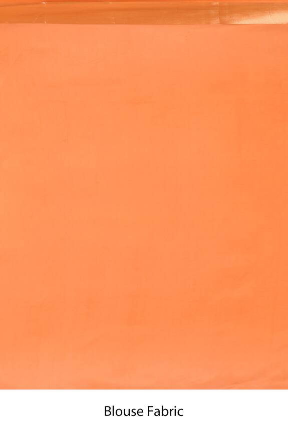 Aryavir Malhotra Orange Dupion Silk Woven Banarasi Saree 4