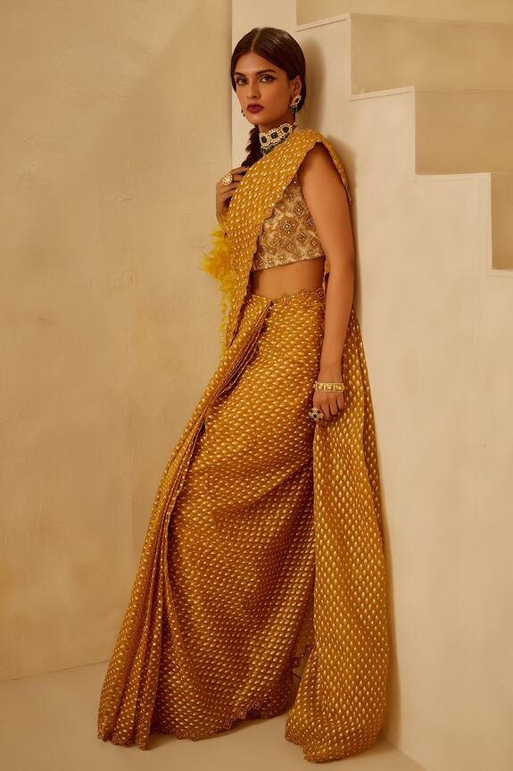 Bhumika Sharma Yellow Organza Net Printed Pre-draped Saree Set 1