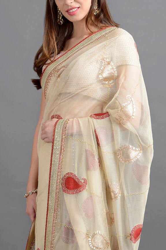 Kavita D Beige Banarasi Silk Net Saree 2