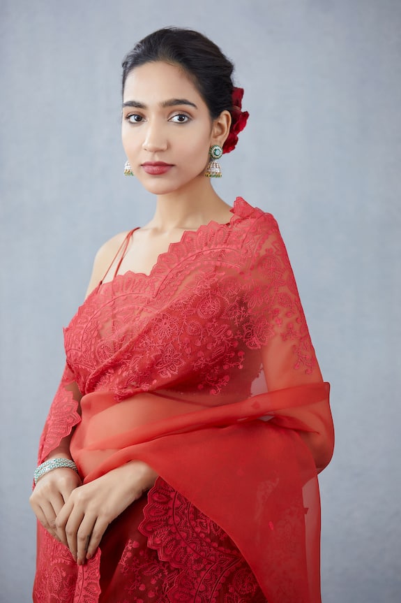 Torani Red Handwoven Chanderi Silk Organza Saree Blouse 6
