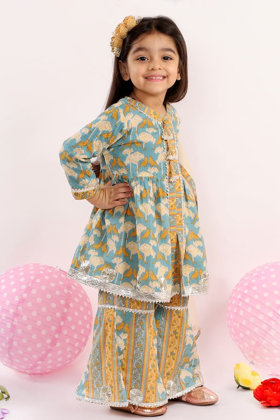 Buy Little Bansi Blue Cotton Embroidered Anarkali Set For Girls Online ...