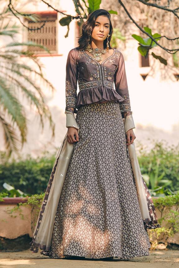 Matsya Brown Chanderi Silk Embroidered Lehenga Set 0