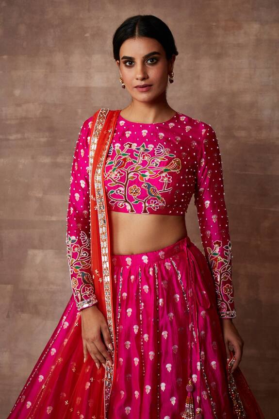 Neeta Lulla Pink Enakshi Banarasi Silk Lehenga Set 4