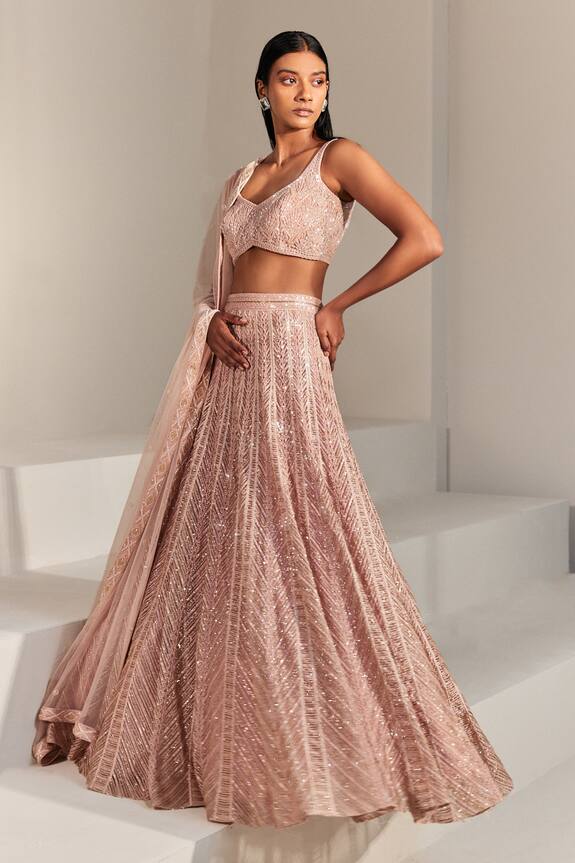 Ritika Mirchandani Pink Net Zenni Embroidered Lehenga Set 0