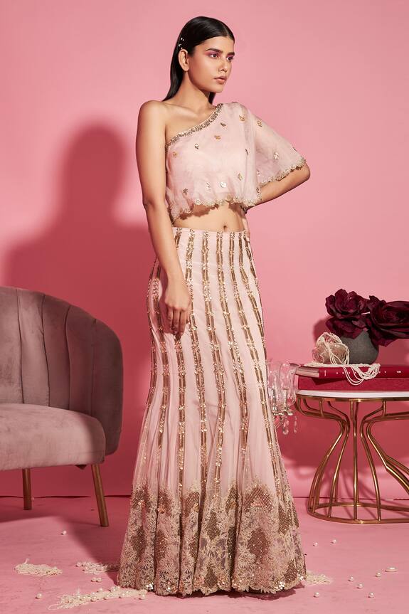 Sanya Gulati Pink Net Emrboidered One Shoulder Lehenga Set 0