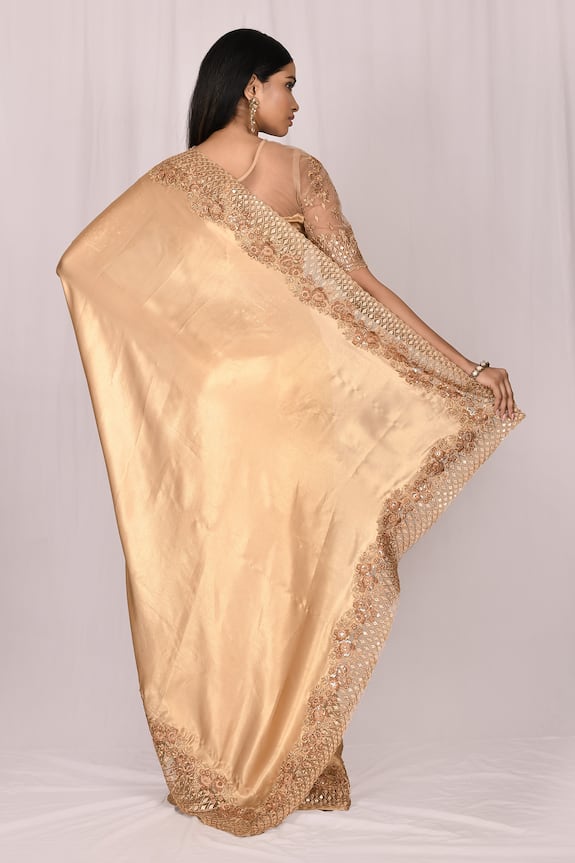 Samyukta Singhania Beige Silk Embroidered Lace Saree Set 2