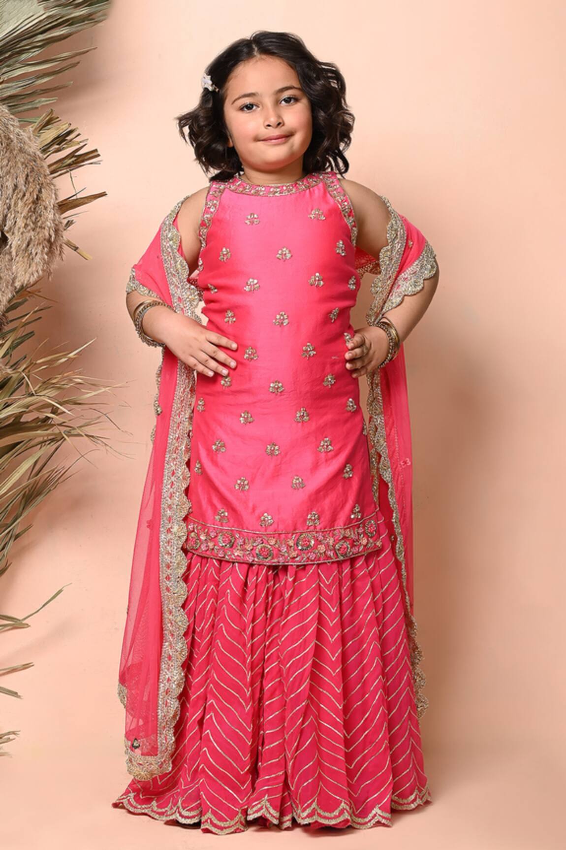 Priyanka Jain Embroidered Chevron Sharara Kurta Set 