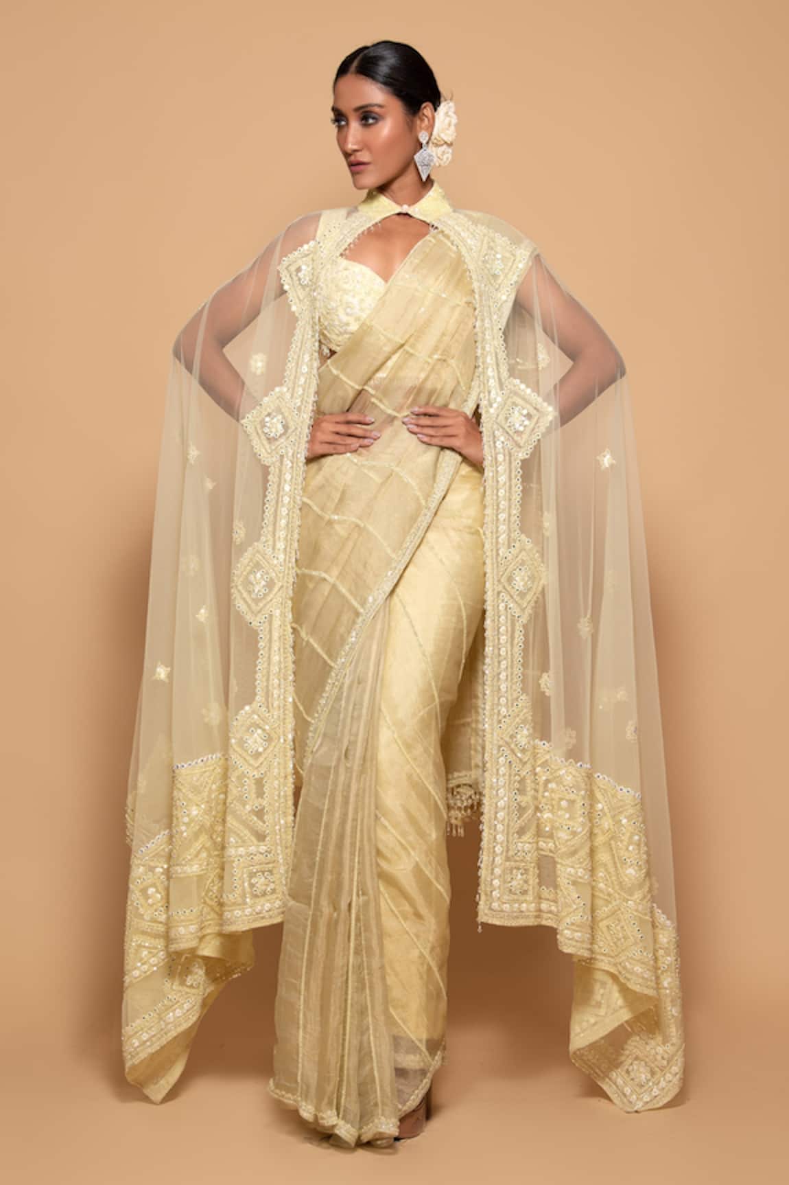 Pallavi Poddar Light Gamma Mirror Work Embellished Cape Saree Set