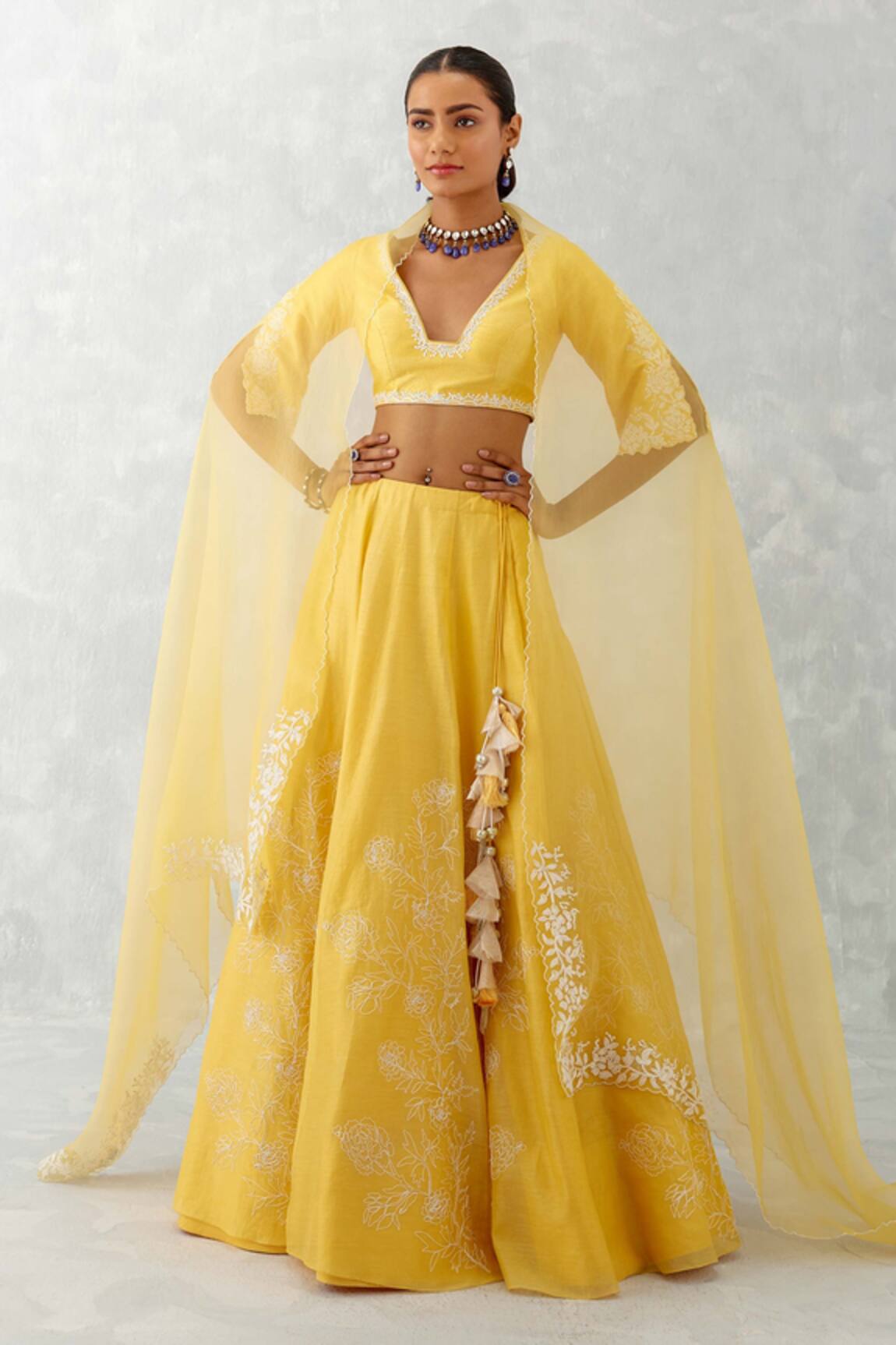 Devnaagri Floral Thread Embroidered Lehenga Set