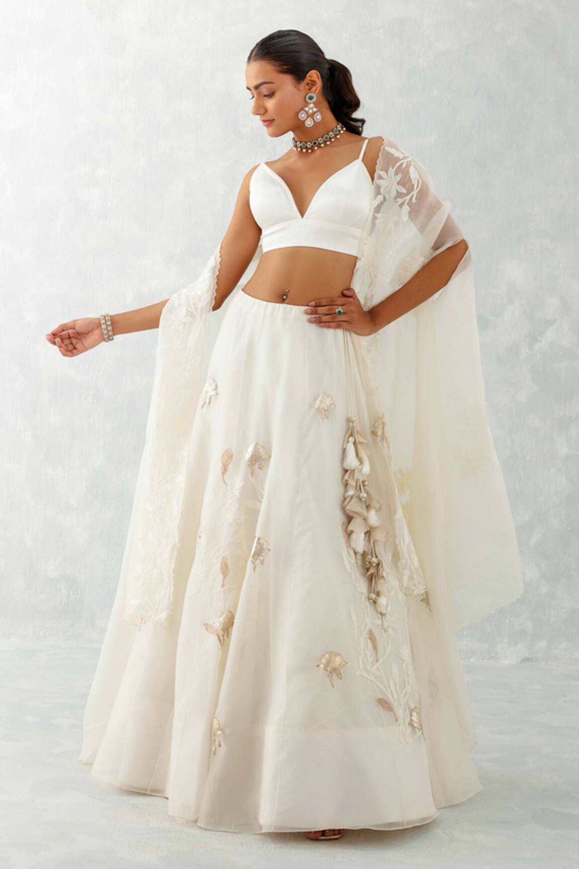 Devnaagri Floral Embroidered Cape & Lehenga Set