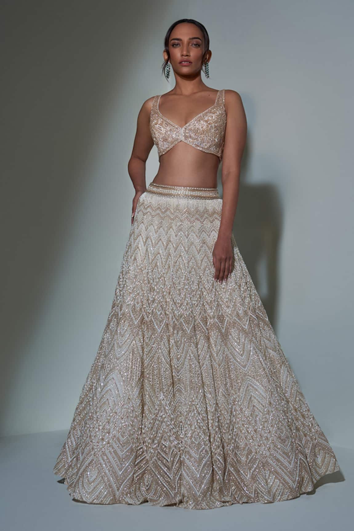 Ritika Mirchandani Embroidered Lehenga Set 