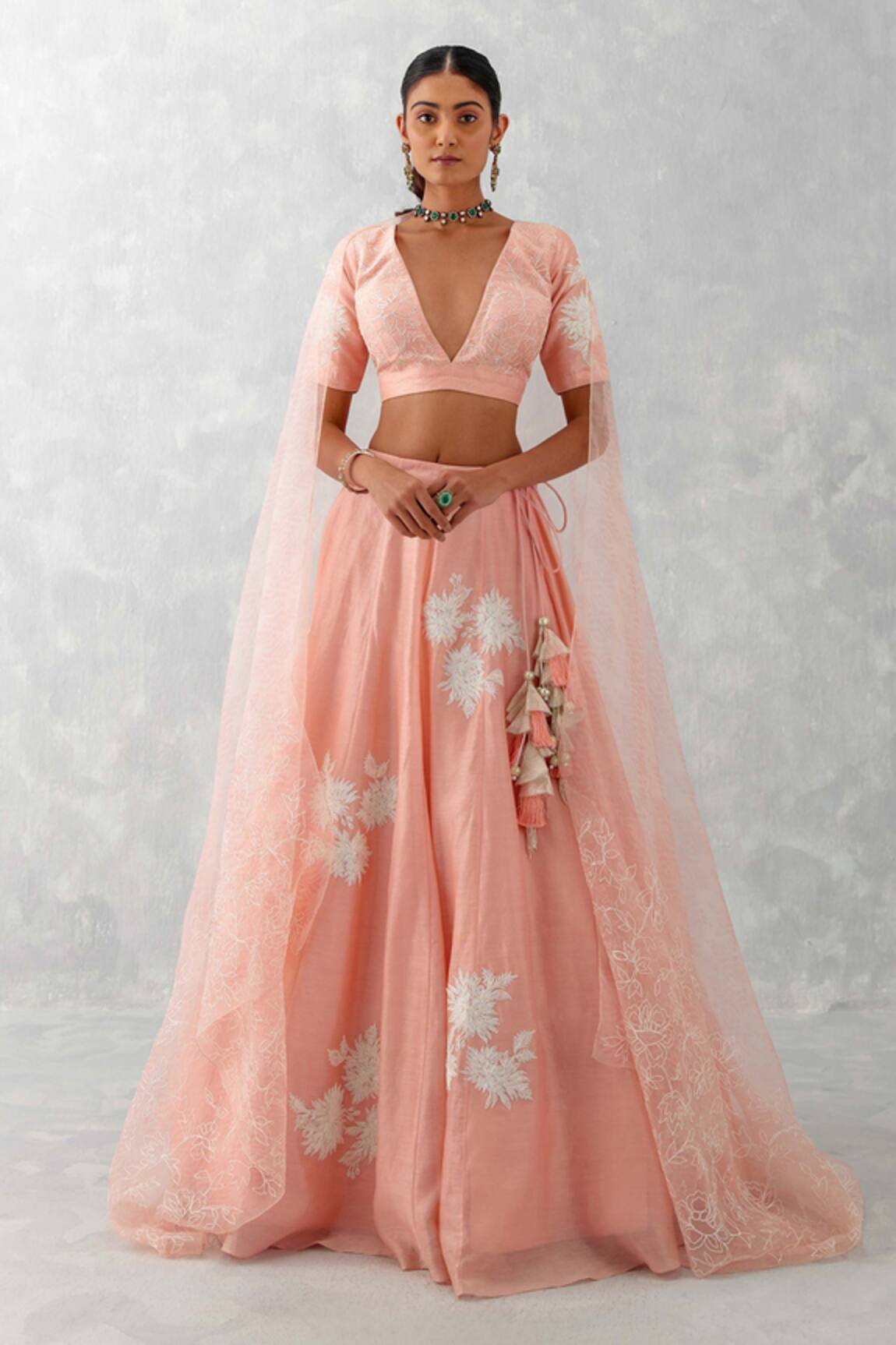 Devnaagri Placement Floral Embroidered Lehenga Set