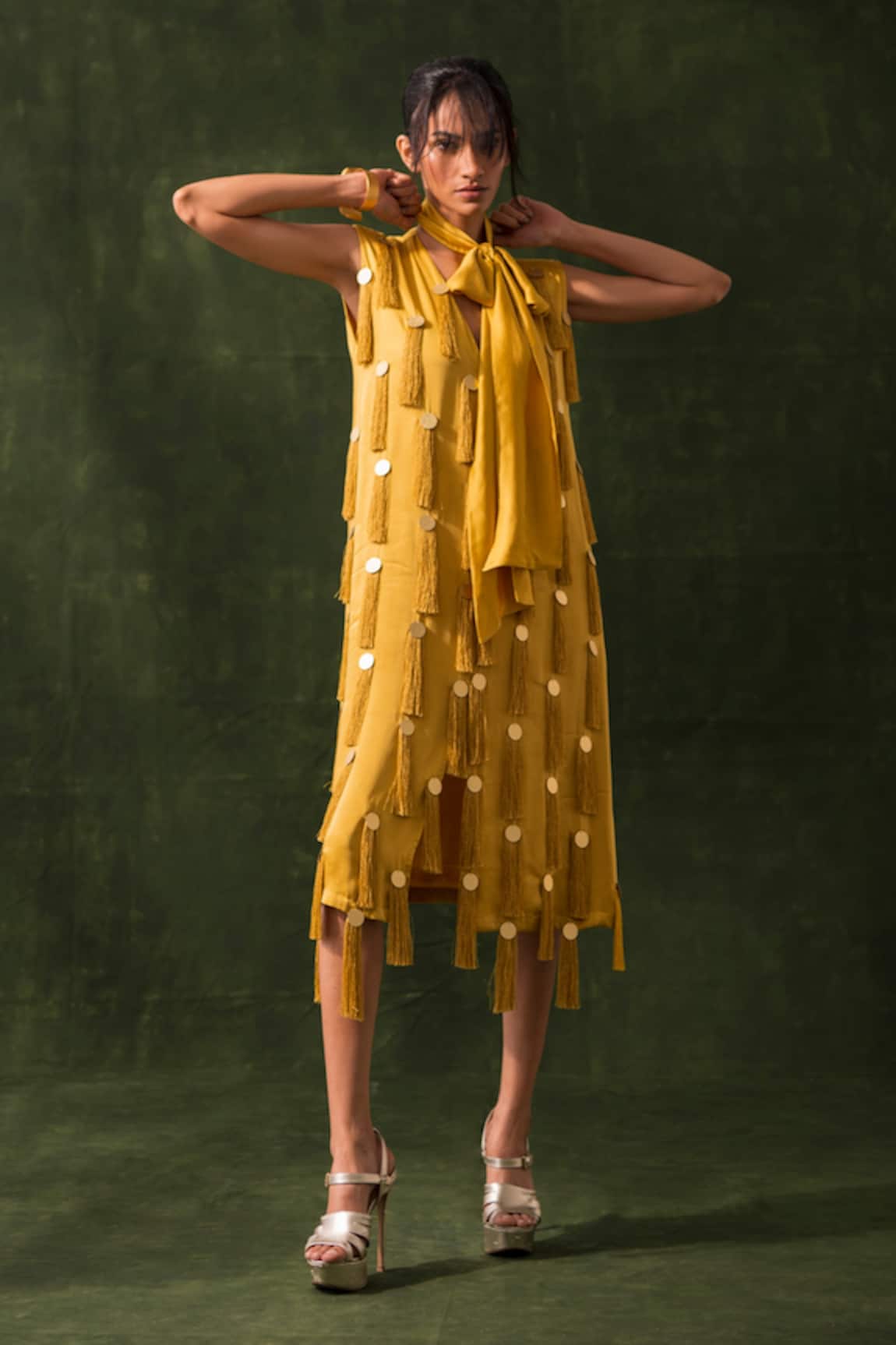 Richa Khemka Tonal Tassel Embroidered Dress 