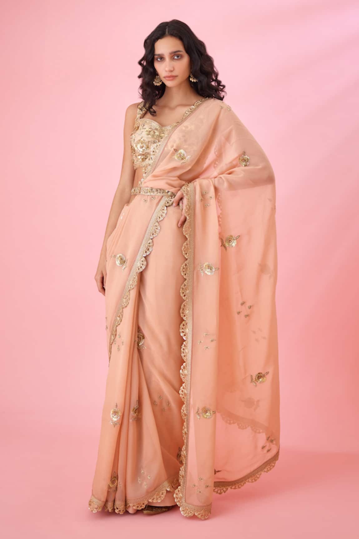 Shyam Narayan Prasad Floral Zardozi Embroidered Saree Set 