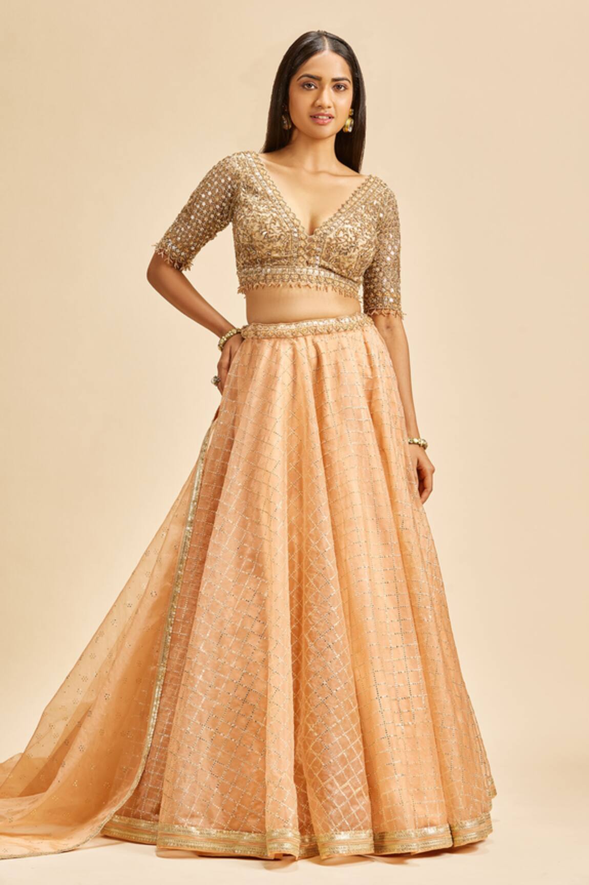 Nitika Gujral Mukaish Work Lehenga Set