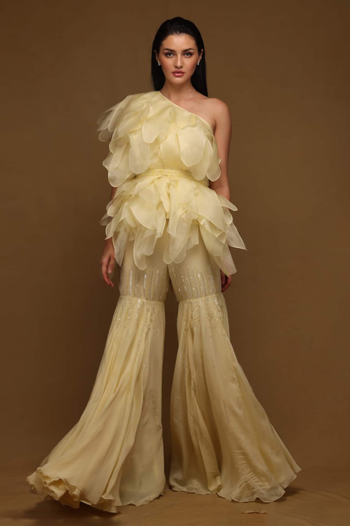 Shriya Som Ruffle Top & Flared Pant Set